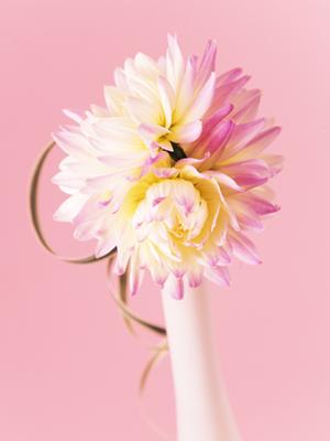 貸切ウエディングで評判の大宮の結婚式場