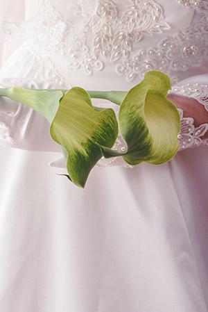 八王子近くにある結婚相談所について